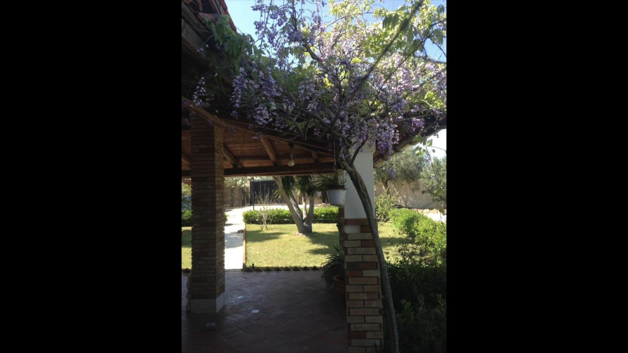 B&B Il Mandorleto 아볼라 외부 사진